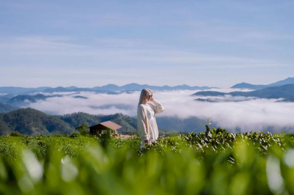 Địa điểm “sống ảo” được nhiều du khách yêu thích với cảnh quang nên thơ của núi cao, mây trắng
